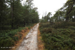 Sallandse Heuvelrug